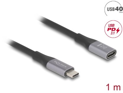 Kabel DELOCK, USB-C 4.0 (M) na USB-C (Ž), 1m, crni