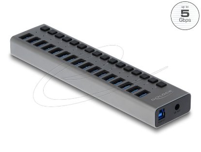 USB HUB DELOCK, 16-portni USB 3.2, s prekidačima, sivi